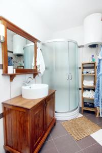 a bathroom with a sink and a glass shower at Holiday house with a swimming pool Kozljak, Central Istria - Sredisnja Istra - 7409 in Plomin