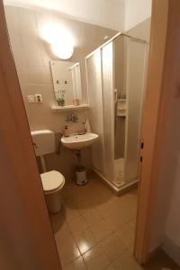a bathroom with a toilet and a sink and a shower at Apartments by the sea Seget Vranjica, Trogir - 7508 in Seget Vranjica