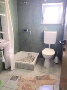 a bathroom with a shower and a toilet and a sink at Apartments with a swimming pool Podgradina, Novigrad - 6198 in Posedarje
