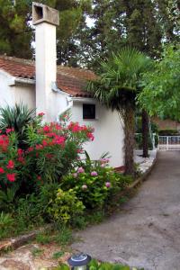Vườn quanh Seaside holiday house Umag - 7632