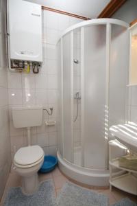 a bathroom with a shower and a toilet and a sink at Apartments with a parking space Peroj, Fazana - 7516 in Vodnjan