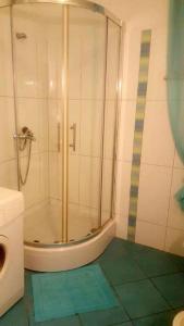 La salle de bains est pourvue d'une douche et d'un sol vert. dans l'établissement Apartments with a parking space Novi Vinodolski - 7503, à Novi Vinodolski