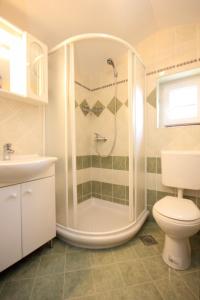 a bathroom with a shower and a toilet and a sink at Apartments with a parking space Sveti Martin, Central Istria - Sredisnja Istra - 7634 in Labin