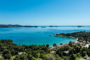 une île au milieu d'une grande masse d'eau dans l'établissement Apartments with a parking space Mlini, Dubrovnik - 9018, à Mlini