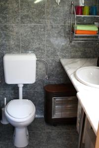 uma casa de banho com um WC e um lavatório em Family friendly house with a swimming pool Vinisce, Trogir - 7510 em Vinišće