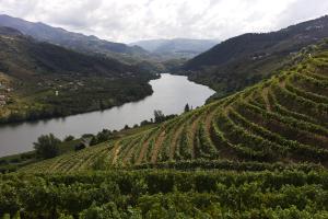 arial view of a river and a vineyard at Casa de Cambres in Lamego