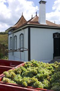 a small white building with a bunch of grapes at Casa de Cambres in Lamego