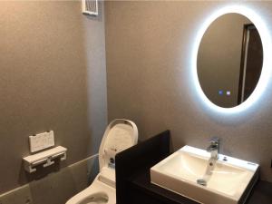 a bathroom with a sink and a toilet and a mirror at LAVA SAUNA &VILLA in Hachijo