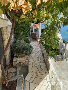 a stone walkway with a tree and some plants at Apartments by the sea Sobra, Mljet - 7531 in Sobra