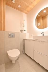 ein Badezimmer mit einem WC, einem Waschbecken und einem Spiegel in der Unterkunft Apartment RIVA in Turku