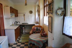 韋萊姆的住宿－Boróka Apartmanházak - Öregház，一个带桌子和水槽的小厨房