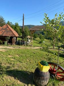 un patio con una casa y un árbol y un barril en Etno selo Raković, en Ivanjica