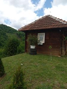 Zahrada ubytování Etno selo Raković