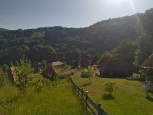 Příroda nedaleko prázdninového domu