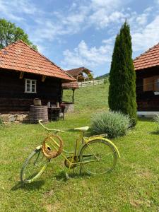 Una bicicleta amarilla estacionada en el césped junto a una casa en Etno selo Raković, en Ivanjica