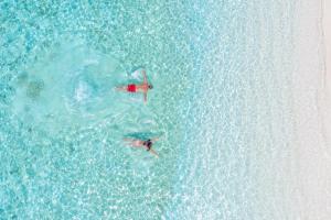 dos personas nadando en el agua en el océano en Sevinex Inn, en Feridhoo