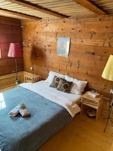 een slaapkamer met een bed in een blokhut bij Etno selo Raković in Ivanjica