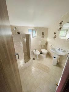 a bathroom with a toilet and a sink at Casa Korina in Azuga +22 photos