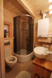 a bathroom with a shower and a toilet and a sink at Tutok in Zakopane