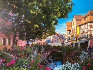 een kanaal in een stad met bloemen en gebouwen bij Gîte De Charme in Colmar
