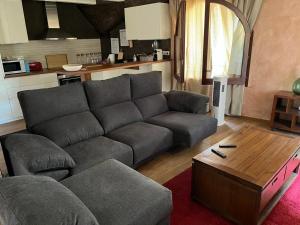 - un salon avec un canapé et une table basse dans l'établissement COMANEGRA, à Castellfollit de la Roca