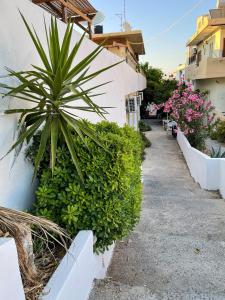 Zahrada ubytování Central neighborhood house