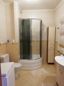 a bathroom with a shower and a toilet at Apartament Helena in Ustka