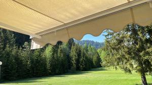 a view from the porch of a house with a lawn and trees at Loft Malga Laghetto in Lavarone