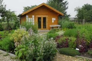 a small wooden cabin in a garden with plants at Kraeuter_Landhaus in Bad Schmiedeberg