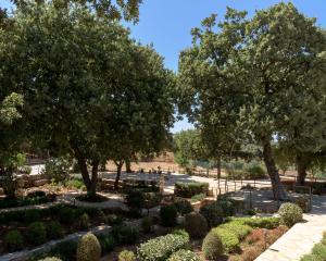 A garden outside Stolidi Mou Treehouse