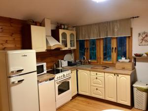 a kitchen with white appliances and wooden walls and wooden floors at Modrzewiowy Dworek in Zyzdrojowa Wola