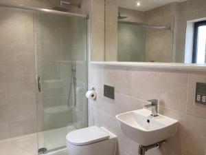 a bathroom with a shower and a toilet and a sink at Galwad y Mor - Balcony, Sea View, Short walk to beach & several eateries in Haverfordwest