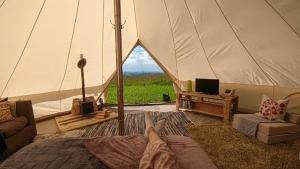 a person laying on a bed in a tent at Ffos Wilkin Glamping & Alpacas in Kidwelly