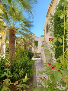 un jardín con una palmera y un edificio en Apartamento Oasis, en Playas de Vera