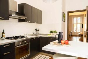 A kitchen or kitchenette at MA08A beautiful flat with terrace in Pta Nuova Még 17 kép