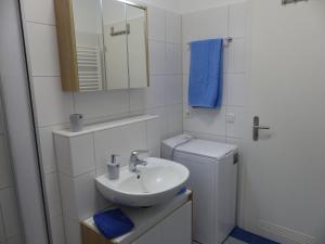 Ένα μπάνιο στο Haus Bucheneck App 03 +17 φωτογραφίες