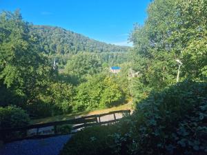 Příroda nedaleko apartmánu