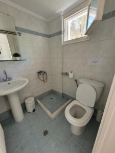 a bathroom with a toilet and a sink at Villa Petros in Nydri
