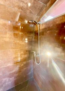 a shower with a shower head in a bathroom at Airstream at Hardham West Sussex Sleeps 4 in Pulborough