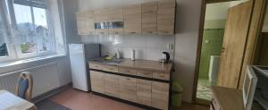 Kuchyň nebo kuchyňský kout v ubytování Apartmán DANY Hanušovice