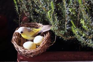 Fotografie z fotogalerie ubytování B&B dei Laghi v destinaci Magreglio
