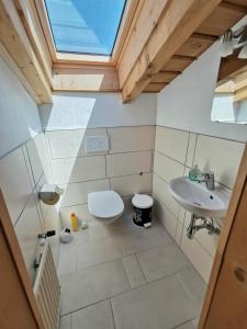 a bathroom with a toilet and a sink at Entfeldhof - Familie Schernthaner in Fusch an der Glocknerstraße