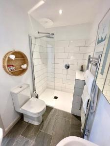 a bathroom with a toilet and a shower at Beautiful Garden Room with Private Entrance in Kingsbridge