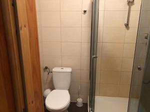 a small bathroom with a toilet and a shower at Bieszczadzki Klin BKLIN in Cisna