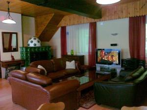 un soggiorno con un divano e una TV di Alpenpension ad Altaussee