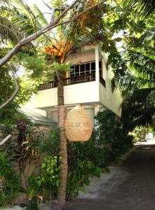 Zahrada ubytování ODI KAMADHOO