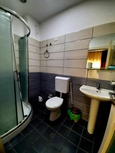 y baño con aseo, lavabo y ducha. en Hotel Vila Giorgio, en Shkodër