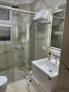 La salle de bains est pourvue d'une douche, de toilettes et d'un lavabo. dans l'établissement TIRANA CITY CENTER STUDIO, à Tirana