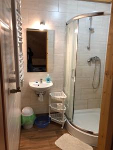 een badkamer met een douche, een wastafel en een toilet bij Bieszczadzki Klin BKLIN in Cisna