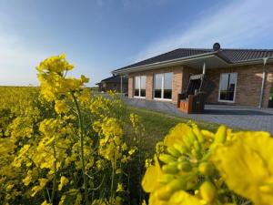 ein Haus mitten auf einem Feld gelber Blumen in der Unterkunft Ferienhaus Küstenperle FH4 in Fehmarn